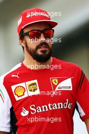 Fernando Alonso (ESP) Ferrari. 07.11.2014. Formula 1 World Championship, Rd 18, Brazilian Grand Prix, Sao Paulo, Brazil, Practice Day.