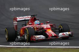 Fernando Alonso (ESP) Ferrari F14-T. 08.11.2014. Formula 1 World Championship, Rd 18, Brazilian Grand Prix, Sao Paulo, Brazil, Qualifying Day.