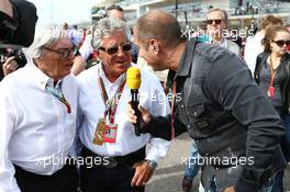 Kai Ebel (GER) RTL TV Presenter with Bernie Ecclestone (GBR) and Mario Andretti (USA) Circuit of The Americas' Official Ambassador on the grid. 02.11.2014. Formula 1 World Championship, Rd 17, United States Grand Prix, Austin, Texas, USA, Race Day.