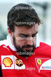Fernando Alonso (ESP) Ferrari. 01.11.2014. Formula 1 World Championship, Rd 17, United States Grand Prix, Austin, Texas, USA, Qualifying Day.