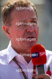 Martin Brundle (GBR) Sky Sports Commentator. 02.11.2014. Formula 1 World Championship, Rd 17, United States Grand Prix, Austin, Texas, USA, Race Day.