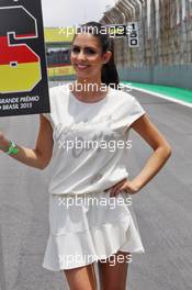 Grid girl. 15.11.2015. Formula 1 World Championship, Rd 18, Brazilian Grand Prix, Sao Paulo, Brazil, Race Day.