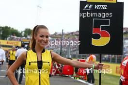 Grid girl. 26.07.2015. Formula 1 World Championship, Rd 10, Hungarian Grand Prix, Budapest, Hungary, Race Day.