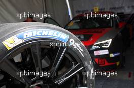 Michelin Tyre 29.03.2015. TCR International Series, Rd 1, Sepang, Malaysia, Sunday.