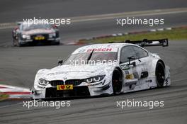 Martin Tomczyk (GER) BMW Team Schnitzer, BMW M4 DTM. 11.09.2016, DTM Round 7, Nürburgring, Germany, Sunday Race.