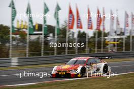 Augusto Farfus (BRA) BMW Team MTEK, BMW M4 DTM. 11.09.2016, DTM Round 7, Nürburgring, Germany, Sunday Race.