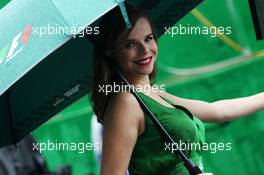 Grid girl. 13.11.2016. Formula 1 World Championship, Rd 20, Brazilian Grand Prix, Sao Paulo, Brazil, Race Day.