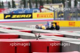 Felipe Nasr (BRA) Sauber C35 passes a bird. 30.04.2016. Formula 1 World Championship, Rd 4, Russian Grand Prix, Sochi Autodrom, Sochi, Russia, Qualifying Day.