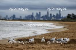 Seagulls on scenic Brighton Beach. 22.03.2017. Formula 1 World Championship, Rd 1, Australian Grand Prix, Albert Park, Melbourne, Australia, Preparation Day.