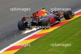 Daniel Ricciardo (AUS) Red Bull Racing  25.08.2017. Formula 1 World Championship, Rd 12, Belgian Grand Prix, Spa Francorchamps, Belgium, Practice Day.