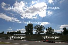 Stoffel Vandoorne (BEL) McLaren F1  28.07.2017. Formula 1 World Championship, Rd 11, Hungarian Grand Prix, Budapest, Hungary, Practice Day.