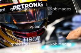 Lewis Hamilton (GBR) Mercedes AMG F1 W08.
