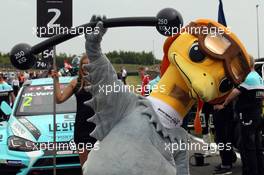 09.07.2017 - Race 2, Atmosphere 07-09.07.2017 TCR International Series, Round 6, Oschersleban, Germany