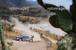 10.03.2017 - Elfyn Evans (GBR)-Daniel Barritt (GBR) Ford Fiesta WRC, Mâ€Sport World Rally Team 08-12.03.2017 FIA World Rally Championship 2017, Rd 3, Mexico, Leon, Mexico
