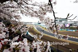 Circuit atmosphere - blossom trackside. 05.04.2024. Formula 1 World Championship, Rd 4, Japanese Grand Prix, Suzuka, Japan, Practice Day.